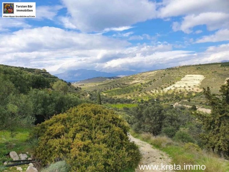 Pitsidia Süd Kreta, Pitsida Baugrundstück mit Meerblick ca.5500m² Grundstück kaufen